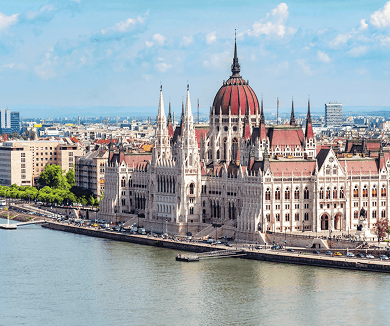 Wildlife Experiences